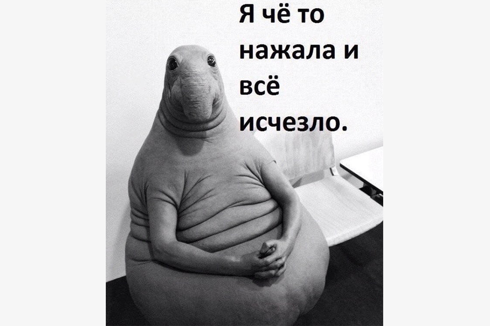 Контакты с ламерами сводятся к минимуму, ведь нервные клетки не восстанавливаются